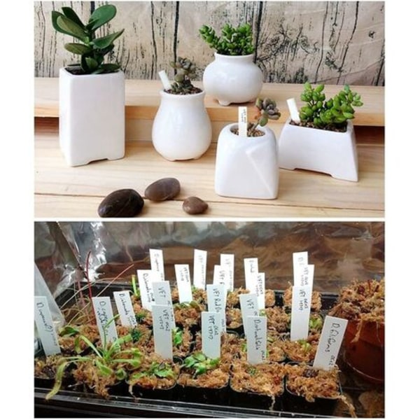 #QD# 100 st plast växtetiketter, vita plast trädgårdsetiketter 10x2cm