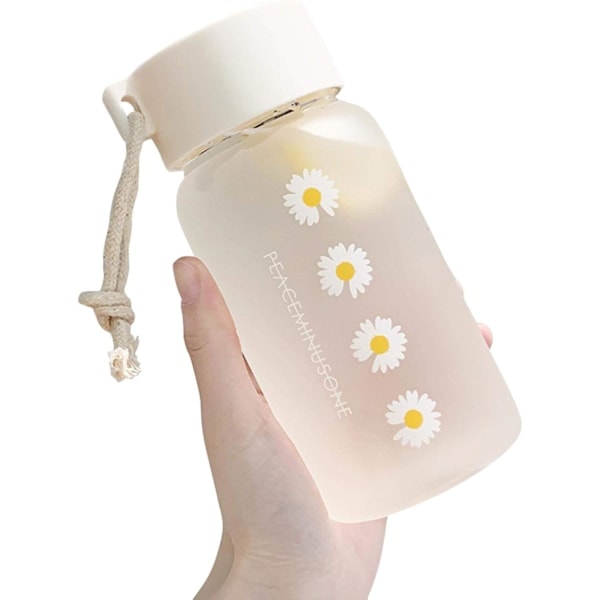 \"QD\" 500ml Plast Transparent Frostat Vattenflaska, BPA-fri, Portabel Återanvändbar Läcksäker Vattenflaska Med Rep för Skolresor