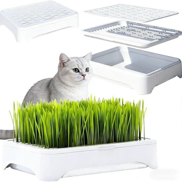 1/2-pack Cat Grass Kit (Seedless) - Three-Part Anti-Tip Design | Microgreens Growing Tray 2 Pack