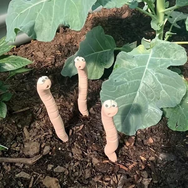 4-pak plantefugtighedsmåler, farveskiftende vandpåmindelse ormesensor til potteplanter og haveindretning, lyserød