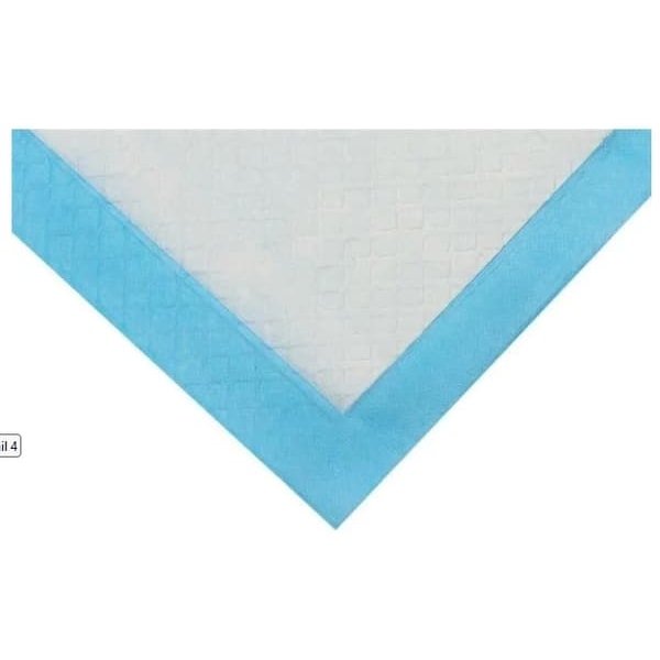 100-pack - Hygienunderlägg / Engångsunderlägg / Hygien Underlägg Blå 33*45cm_qq