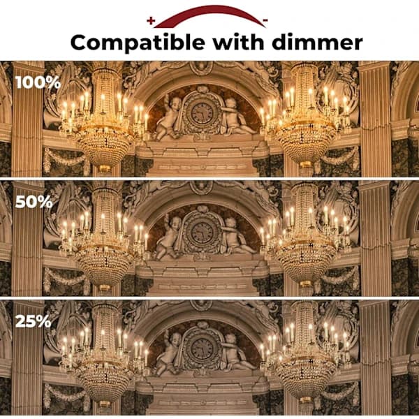 42W E14 C35 Dimbar Halogenpære AC 220-240V Varmhvit 2700K E14 Transparent Halogenpære (10 stk)