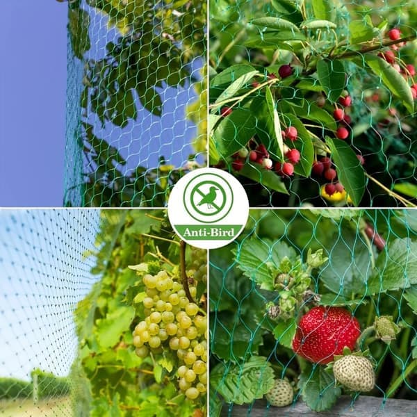 Fuglenet til Haven – Holdbart Nylon, Beskytter Planter og Frugt mod Dyr