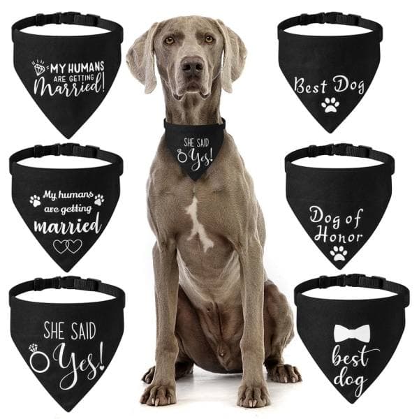 Bröllopsbandana för Hund, 2-pack, Hundscarf, Förlovning B-L