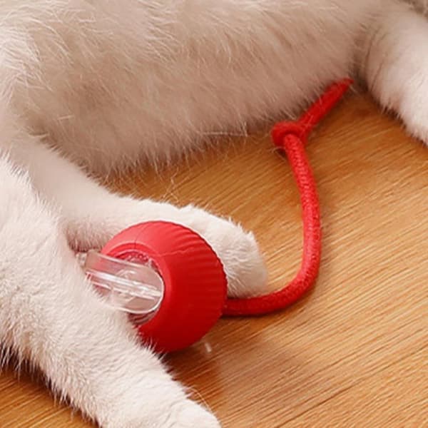 Cat Dash Legebold - 360° Automatisk Rullende - Til Katte & Hunde (Rød)