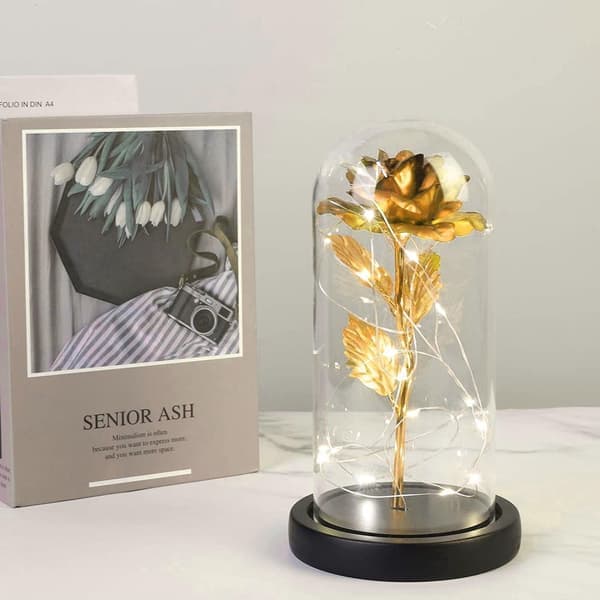 Evighedsrose med lyskæde - Guld / Sort