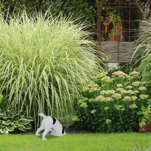 Hagefigur gravende hund