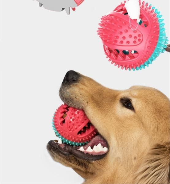 Multifunktionel hund kat sikker elastisk rengørings tænder bold