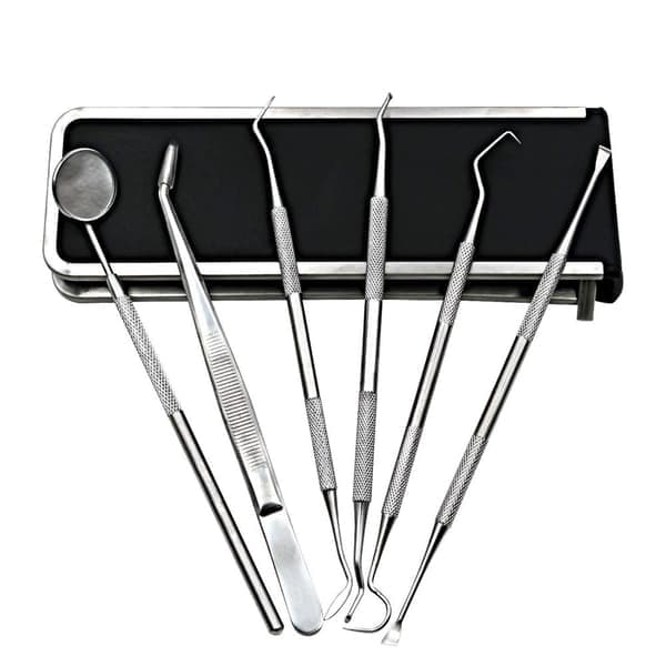 Tandvårdskit med 6 tandinstrument