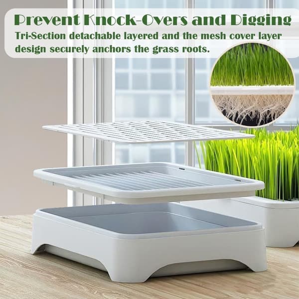 1/2-pack Cat Grass Kit (Seedless) - Three-Part Anti-Tip Design | Microgreens Growing Tray 2 Pack