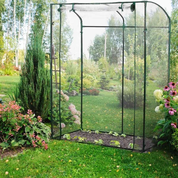 Tomatveksthus av PVC-plast