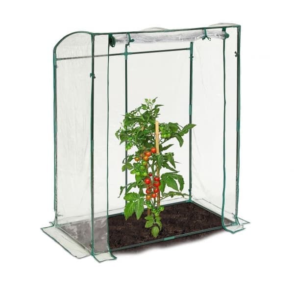 Tomatveksthus av PVC-plast