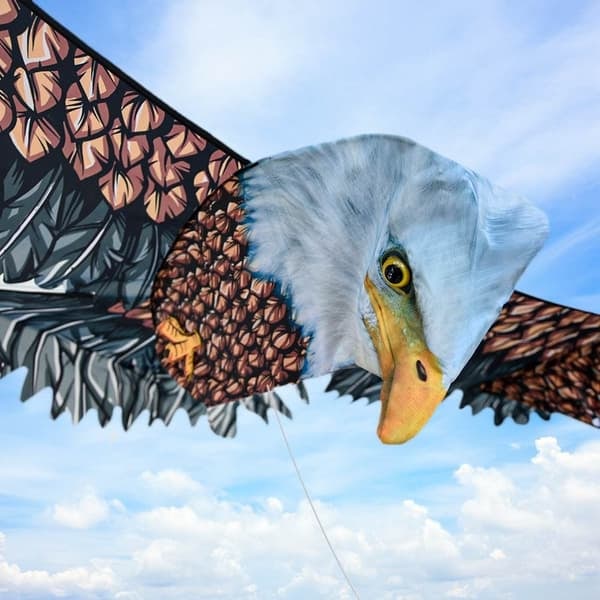 /QD/3D Örndrake för utomhuslek