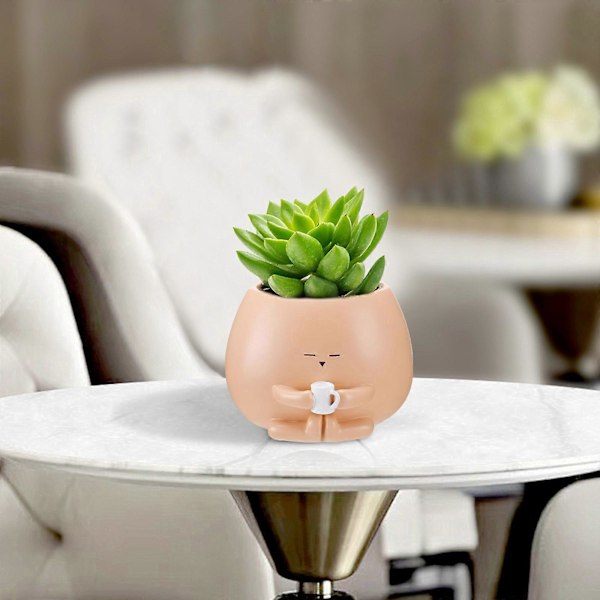 Søt Blomsterpotte Hjem Stue Bordplate Dekor Ornament Harpiks Sukkulent Dekor_FO A