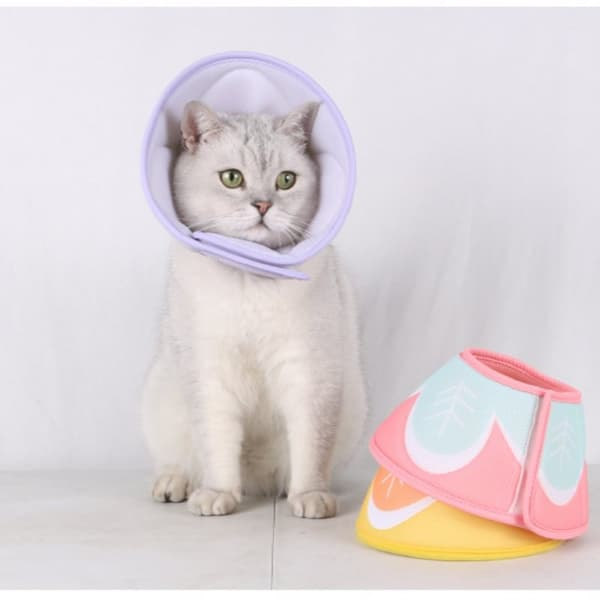 Dog and Cat Cone Collar - Adjustable Fit