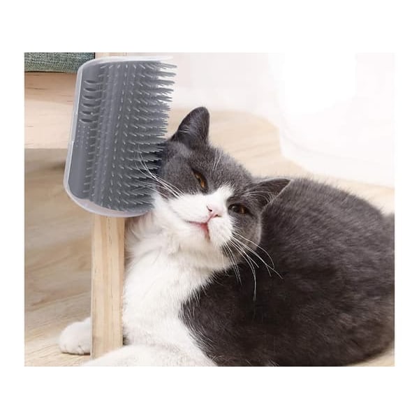 Kattborste med Fack för Kattmynta / Cat Nip - Självvård för katt_QQ