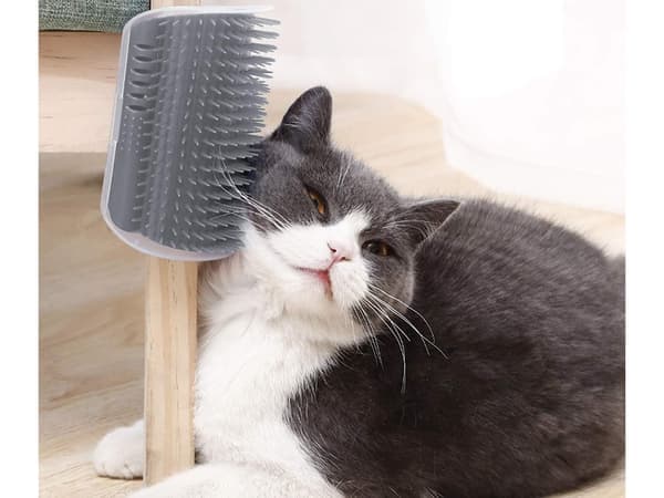 Kattebørste med rum til katteurt / Cat Nip - Selvpleje til kat