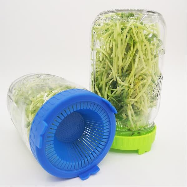 2-pack Bean Screen Plastic Mason Jar Sprouting Lids for Wide Mouth (Jar not included)