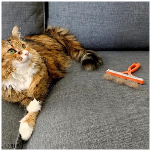 Fjerner af dyrehår, katte-/hundehårsfjerner til sofa/bil/tæppe/tøj, bærbar, orange
