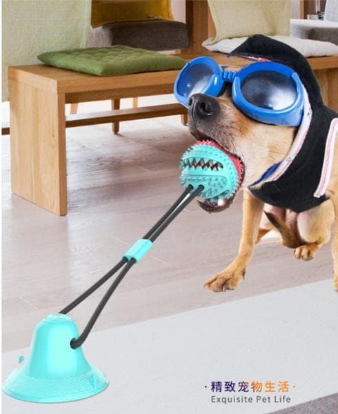 Multifunktionel hund kat sikker elastisk rengørings tænder bold
