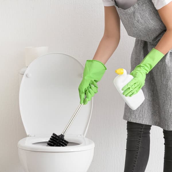 5 stk. udskiftningsbørster til toilet