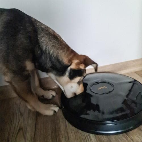 Automatisk Hunde-/Kattefôrautomat for 6 måltider med timer.