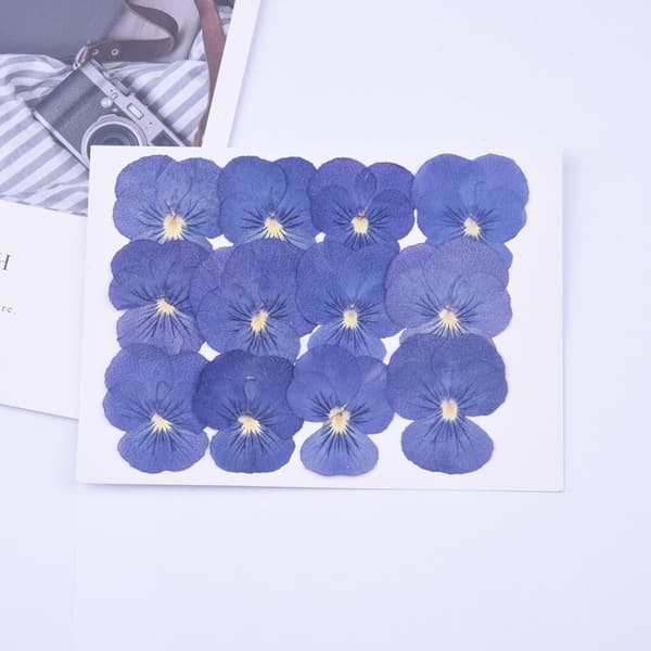 2 STK-Pose med tørret blomsterprintmateriale-+blå blomstermodel-diy