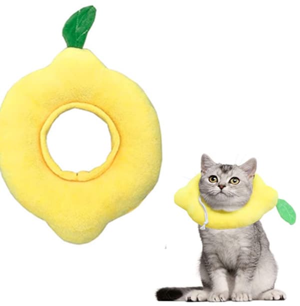 Återhämtningskrage för katter, justerbar upp till 28 cm, efter operation, citronformad, L, gul