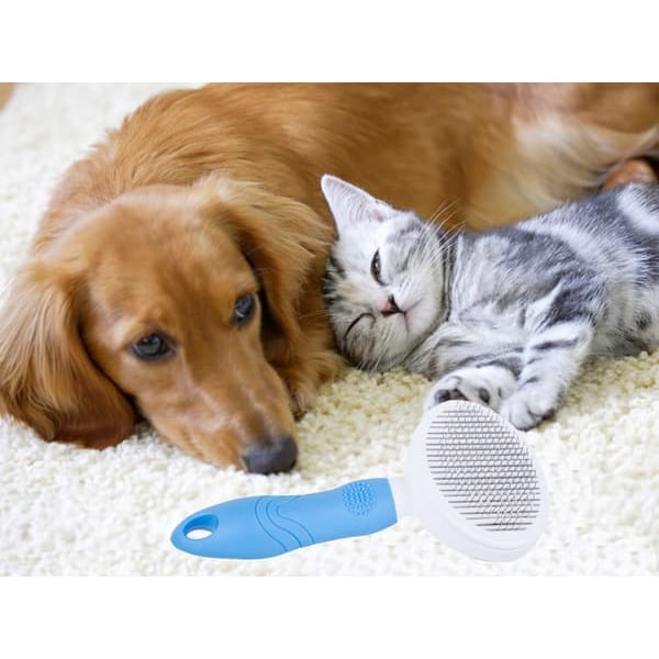 Hundebørste / Pelsbørste - Hund & Kat_QQ