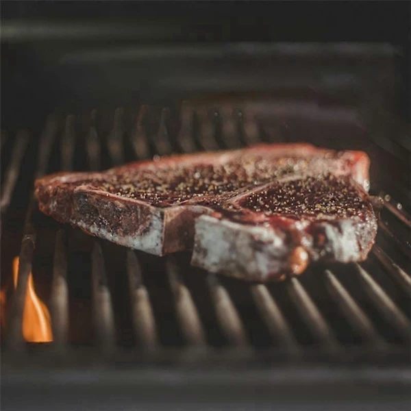 2-pack Köttprobe för Thermopro TP20 TP17, med 2 grillprobehållarklämmor