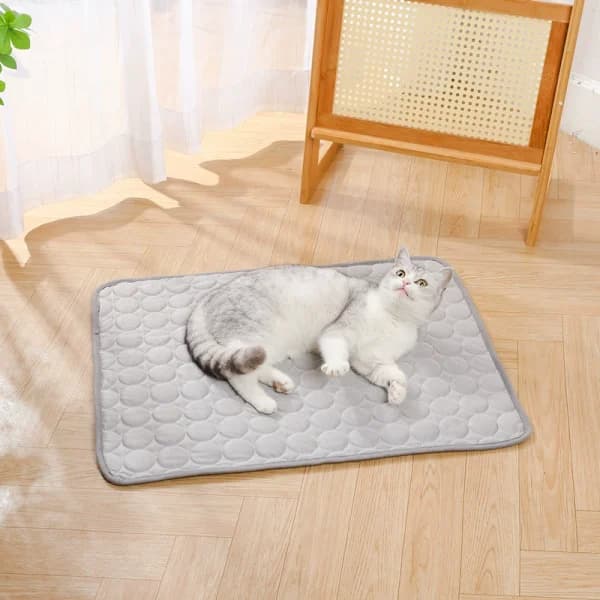 Hunde Katte Måtte Seng Selvkølende Giftfri Måtte Pad Kæledyr Is Silke Kølemåtte 62 * 50 cm Grå