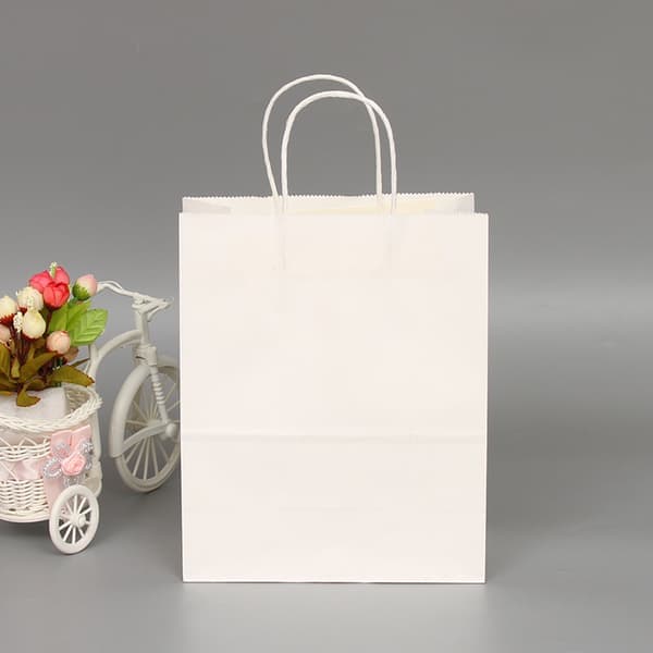 Papperskassar presentpåsar med handtag 10-pack