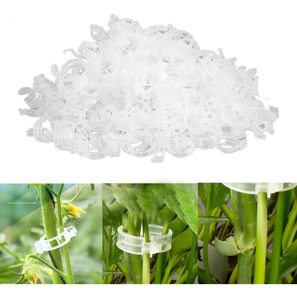 100/200/300 st plantstöd clips, plantclips för klätterväxter, ympverktyg upprätt växtväxande återanvändbar (grön/vit) white white 300pcs