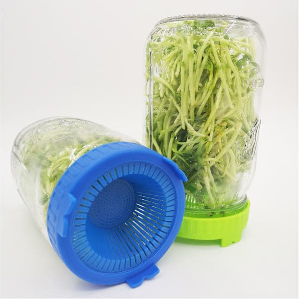 QU)2-pack bönsil plastburk groddlock för bred öppning