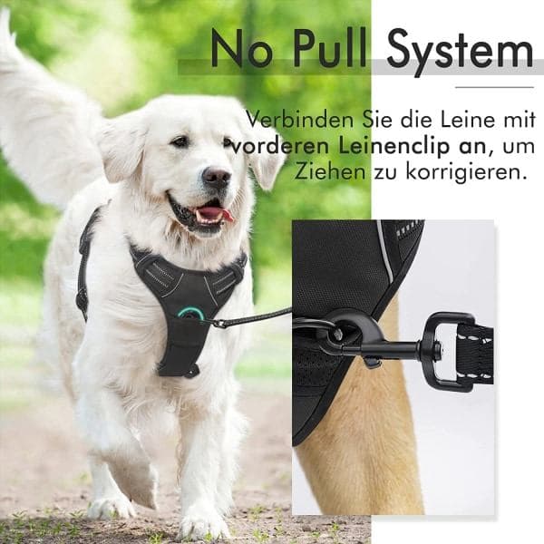 Medium Hundbärare, Anti-Drag Sele Hundkoppel