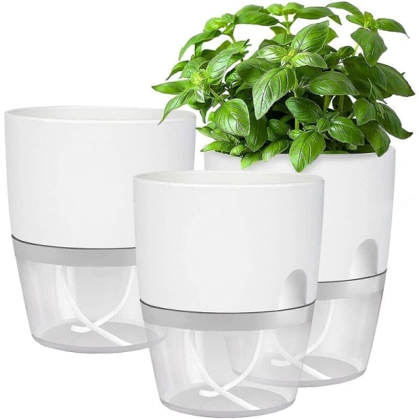 Fönsterbräda köksset självvattnande set med 3 örtträdgårdar för kök 18,2 X 11 X 15,3 cm för färska köksörter vit˜QD