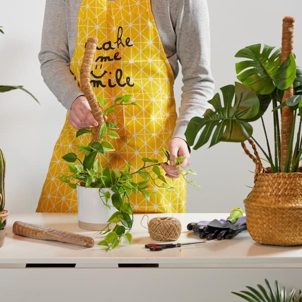 Kokospinnar 60 cm