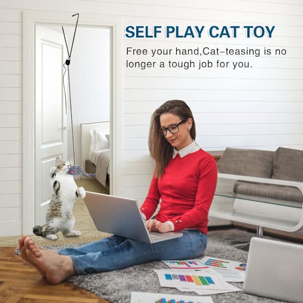 Interactive Feather Cat Toys, Retractable Teaser Wand Toy, Hanging Interactive Toys for Indoor Cats, Kitten Exercise