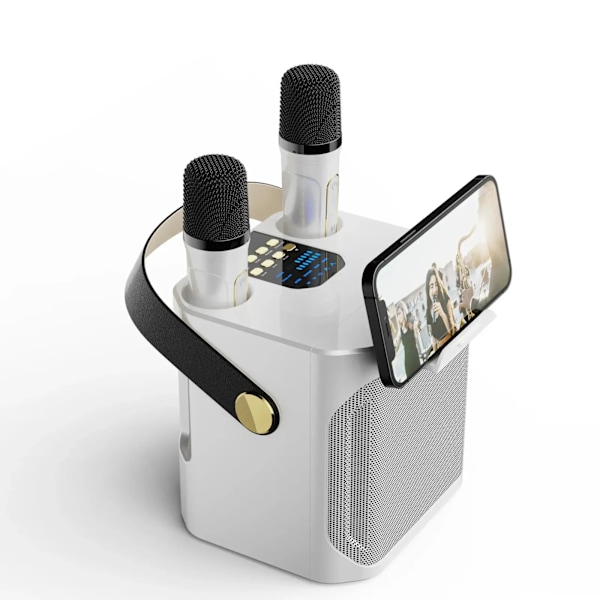 QD+Tehokas karaoke Bluetooth -kaiutin kannettava 360 stereo surround vedenpitävä langaton subwoofer kahdella mikrofonilla Boombox 241106