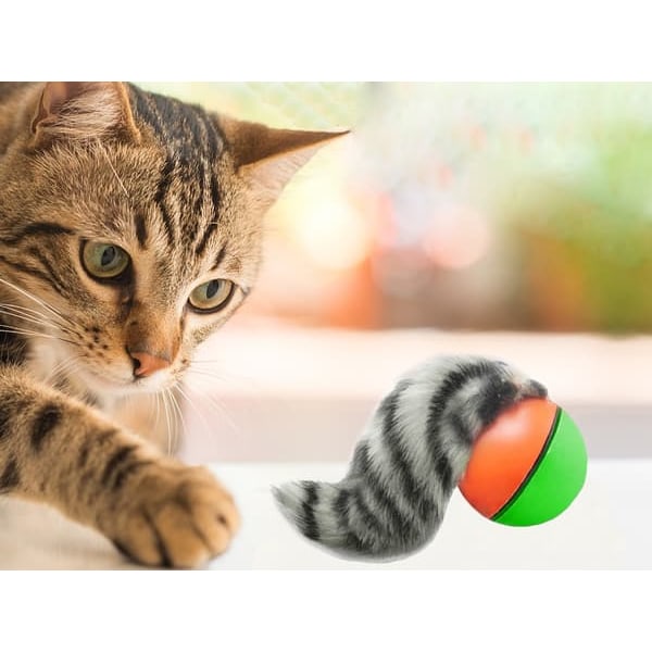 Elektrisk Kattleksak / Leksak för Katt - Rullande boll med iller_QQ