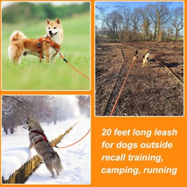 QQU-Hundebånd, 10m, Langt Hundetreningsbånd, Ideelt for Fotturer, Camping, Trening, Strand, Passer for Små og Mellomstore Hunder