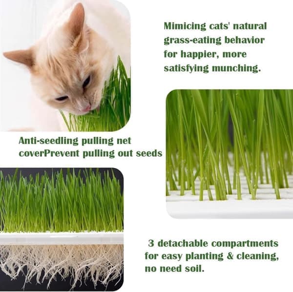 1/2-pack Cat Grass Kit (Seedless) - Three-Part Anti-Tip Design | Microgreens Growing Tray 2 Pack