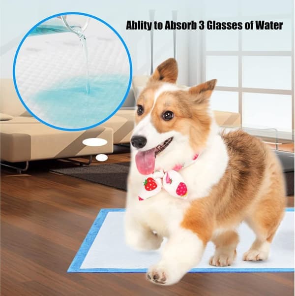 Tisseunderlag for hund / Valpeunderlag / Hygieneunderlag