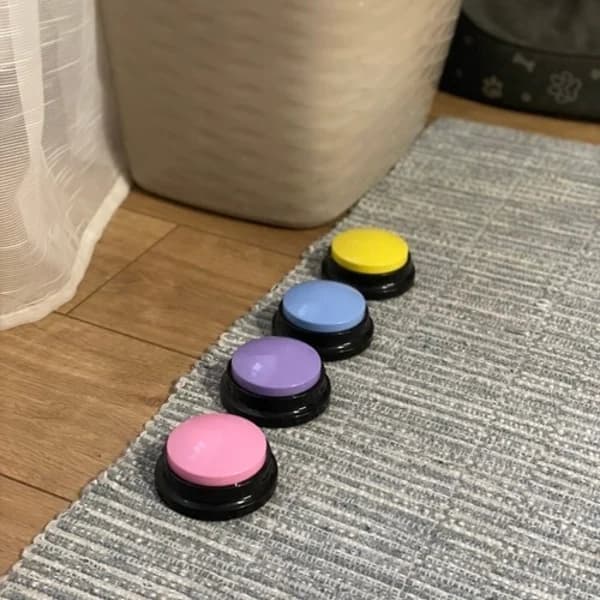 Talande Knappar för Hund & Katt - 4-pack