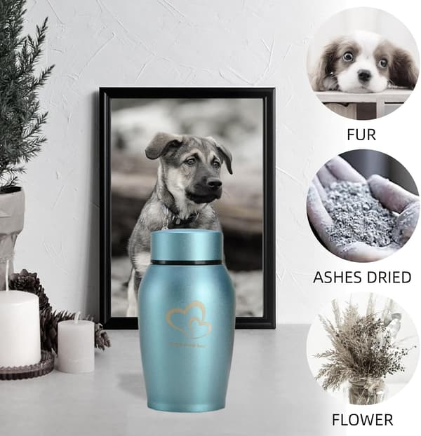 Mini kremeringsurne til aske, mindeurne i rustfrit stål til voksne hunde og katte, lille blå