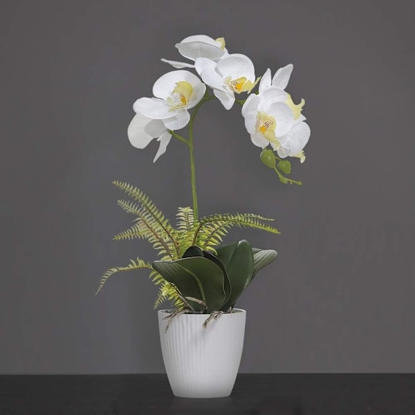 \"QD\" Vit Konstgjord Orkidé i Vit Kruka, Vit Phalaenopsis Orkidé Badrum Inomhus Dekoration