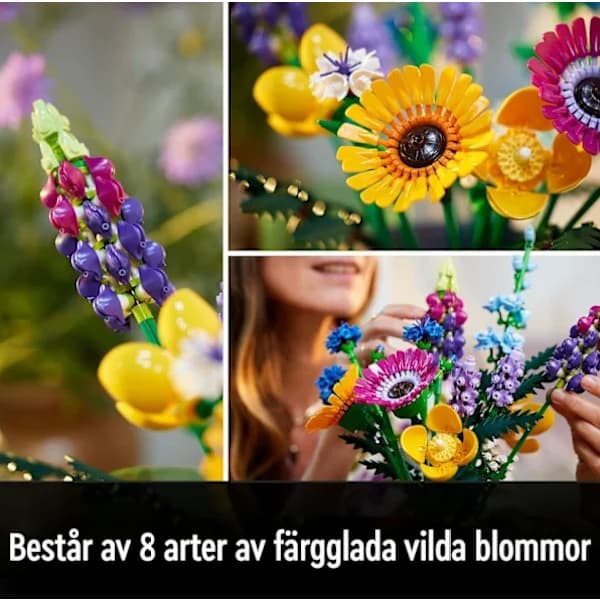Vildblomsbukett, lavendel och gerbera, vuxenkit, presenttips, botanisk samling Blommor