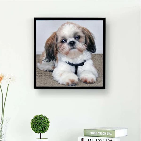30 x 40 cm, Diamantmaleri til hunde