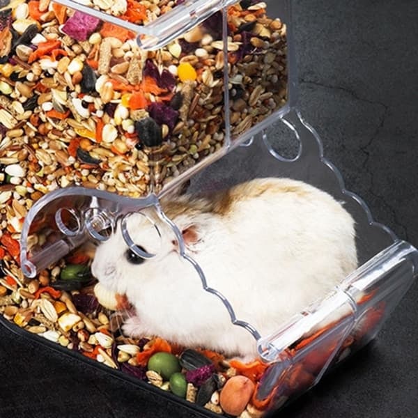 /QD/Foderdispenser til Gnavere - Plast