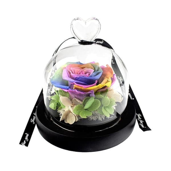 /QD/Small Rose in Glass Dome - Rainbow Colored